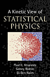 A Kinetic View of Statistical Physics